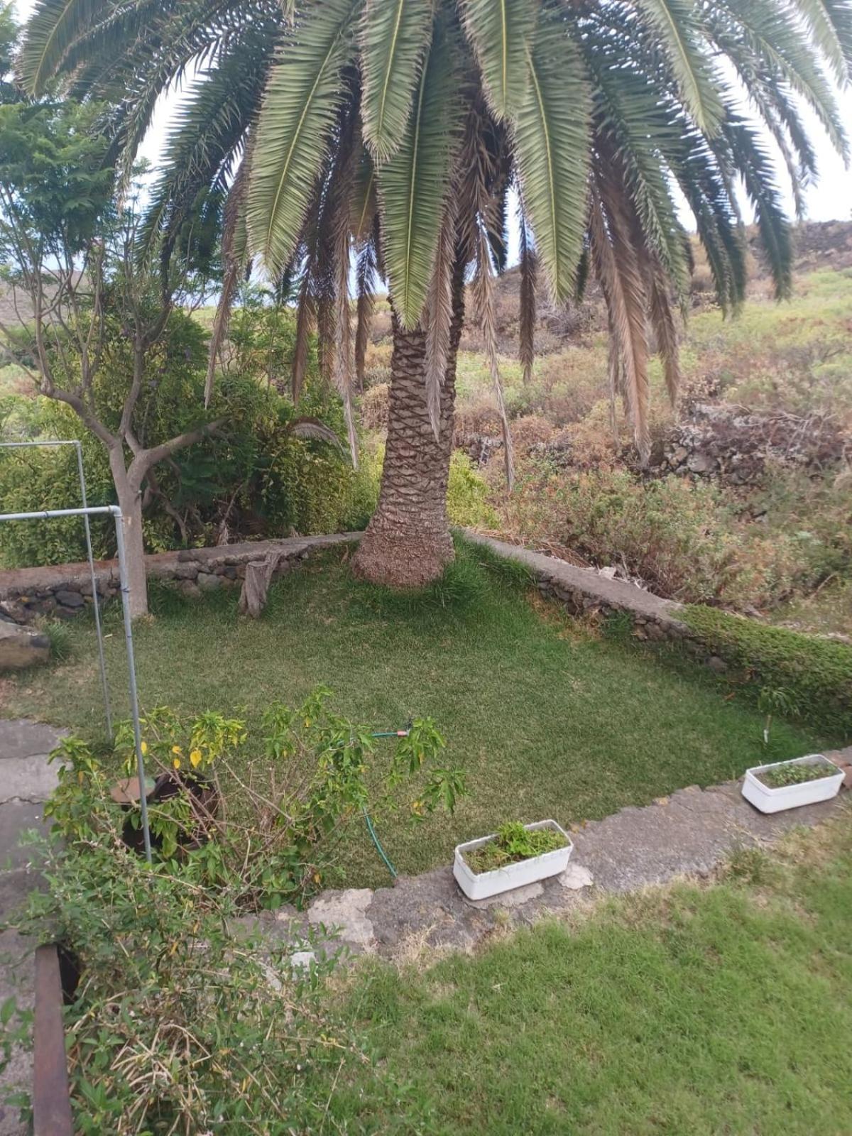 Casa Rural El Olivo De Mazo Exterior photo